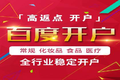 网络推广中的竞价广告：成功案例解析